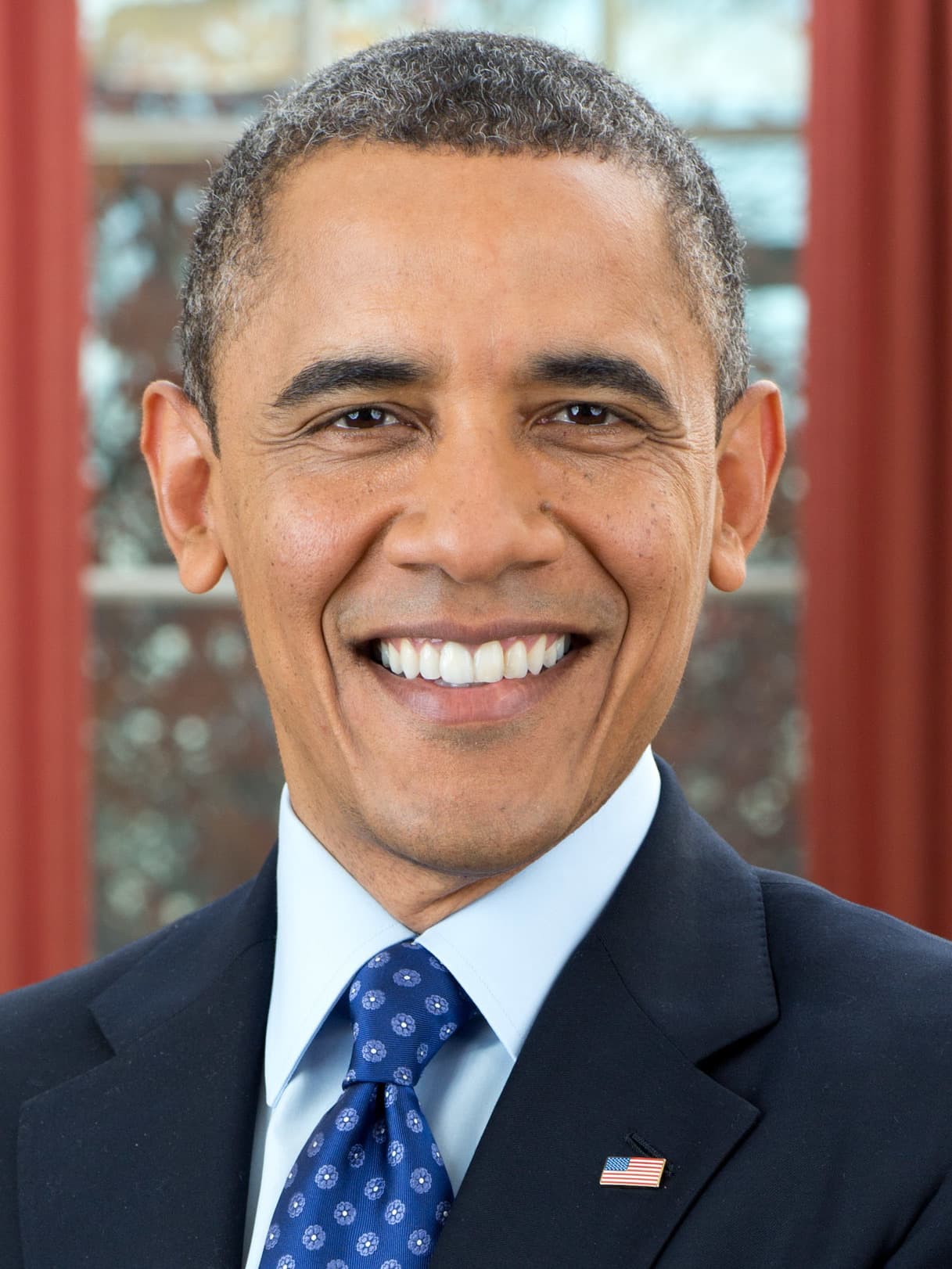 Barack Obama official portrait, 2012