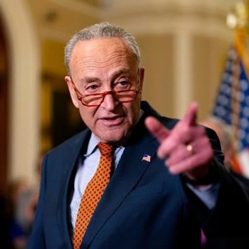 Portrait of Chuck Schumer
