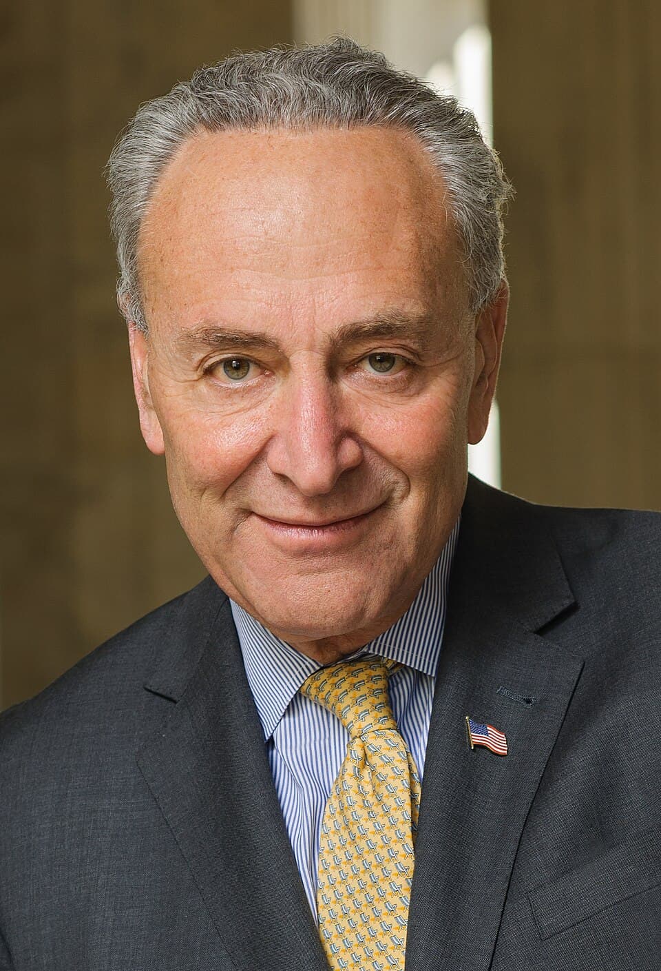 Portrait of Chuck Schumer