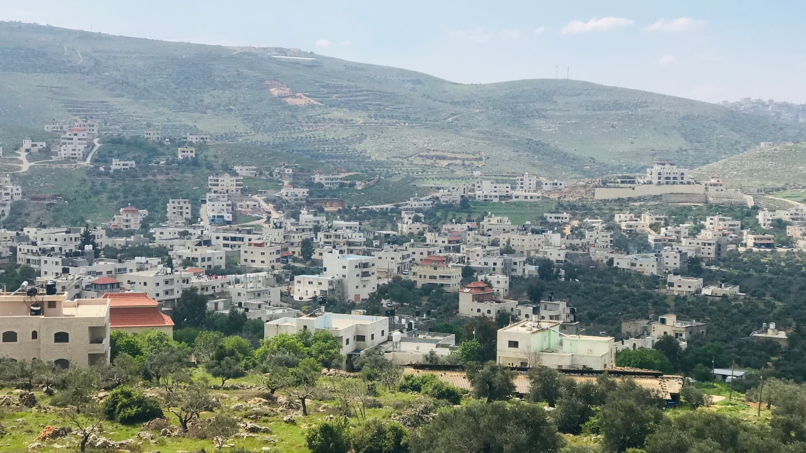 Homes and tree-covered hills in Khirbet Abu Falah in the West Bank.