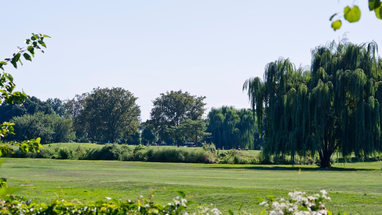 Fairways and mature trees at East Potomac Golf Course in Washington.
