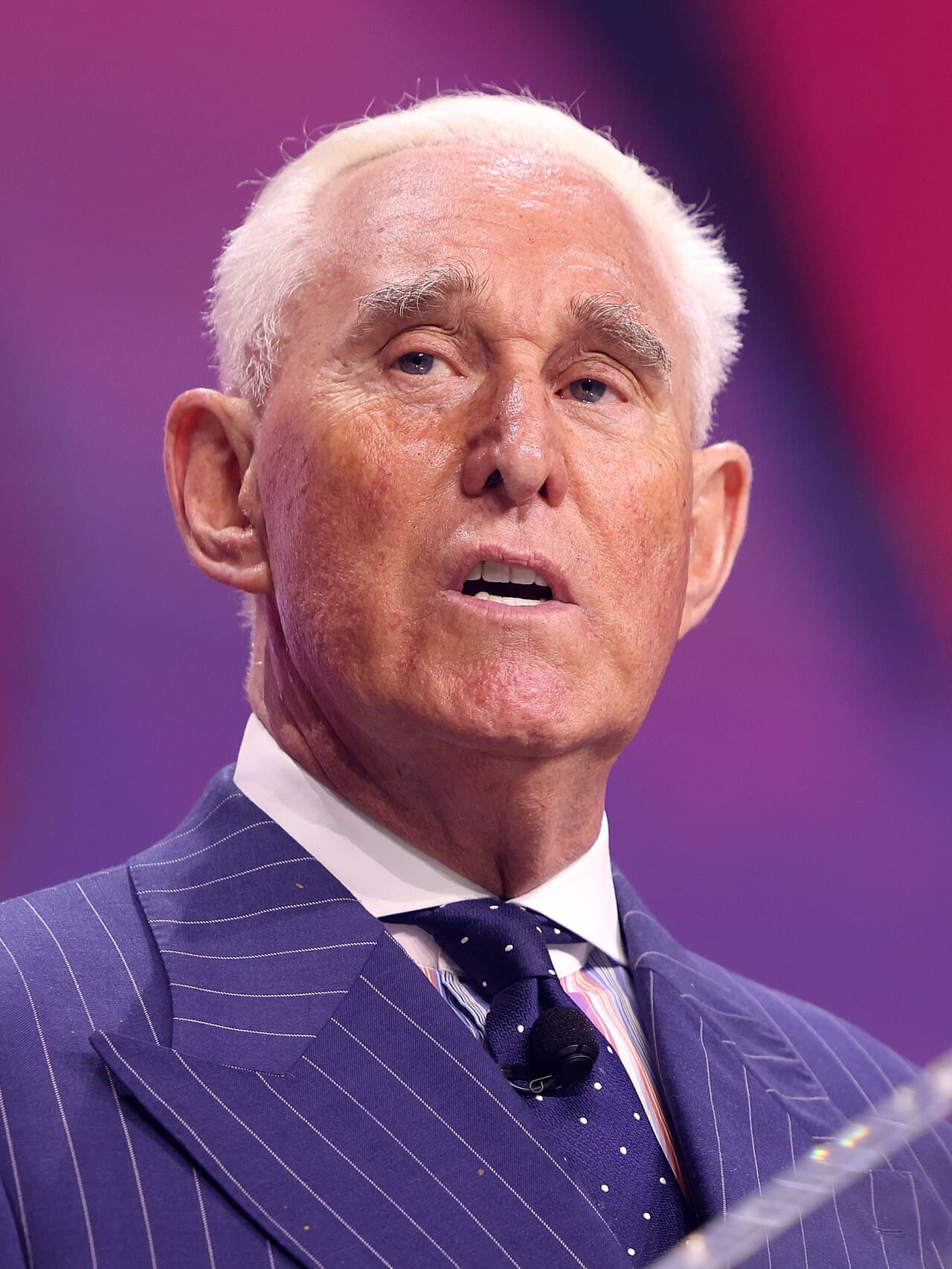 Portrait of Roger Stone