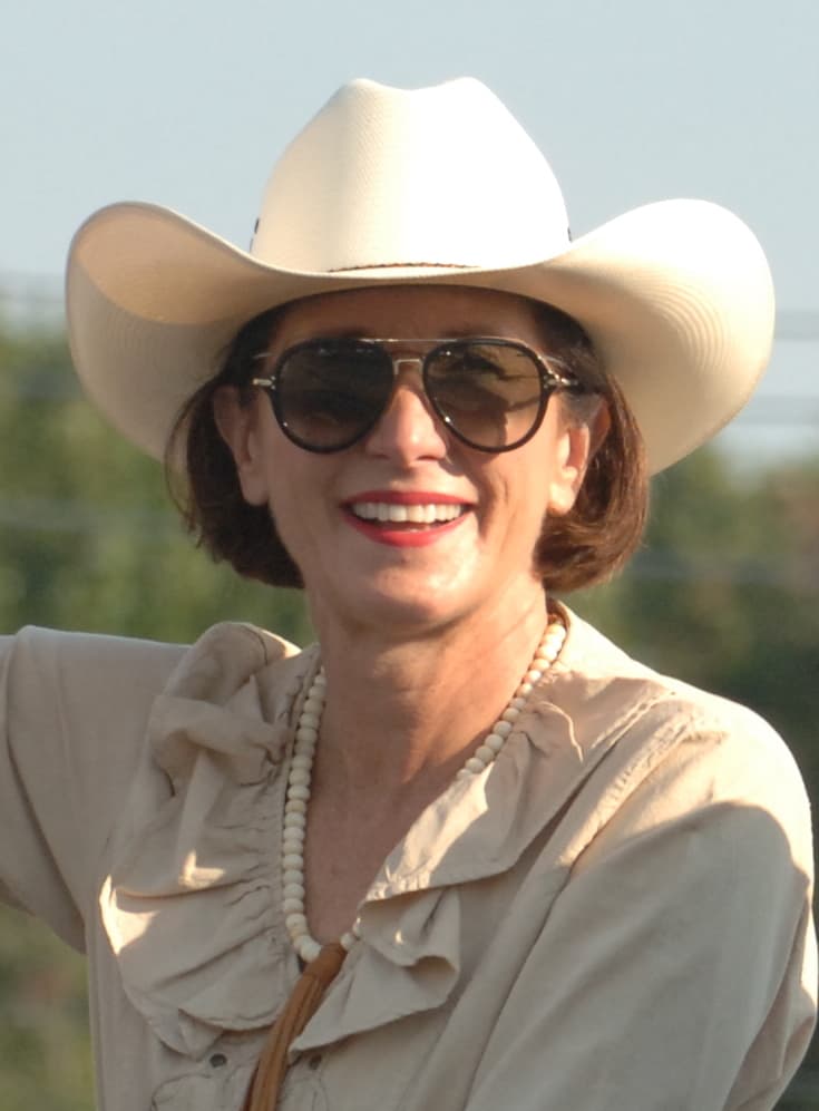 Texas state Sen. Lois Kolkhorst in 2017