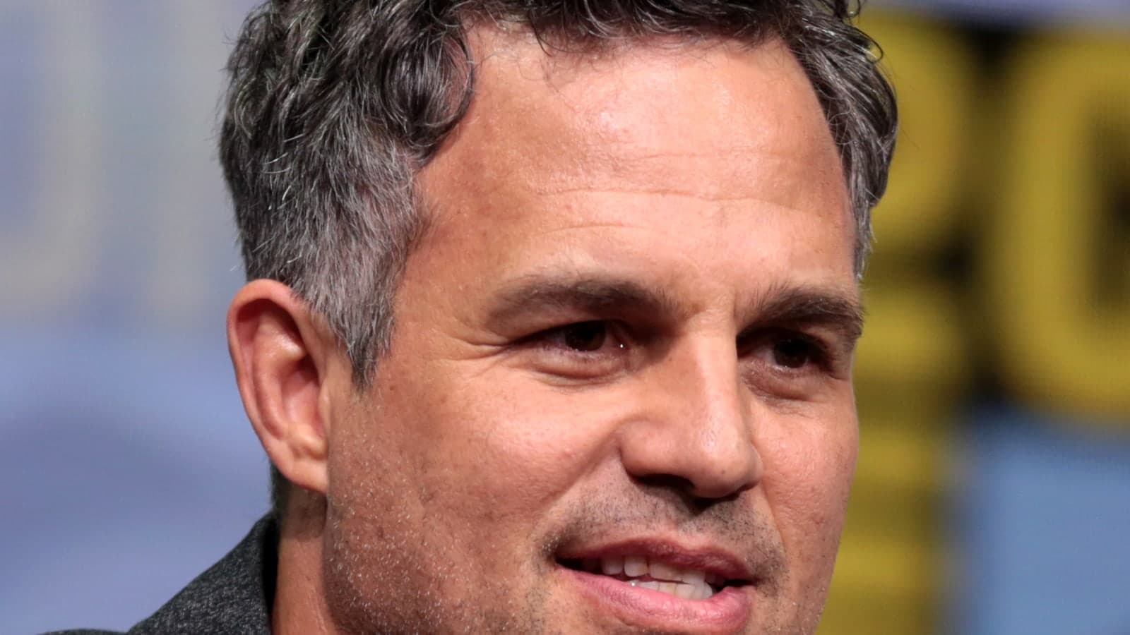 Actor Mark Ruffalo at a public event
