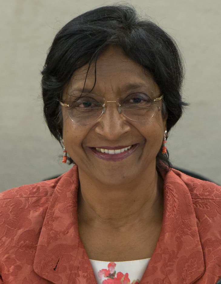 Navi Pillay at the Human Rights Council in June 2014