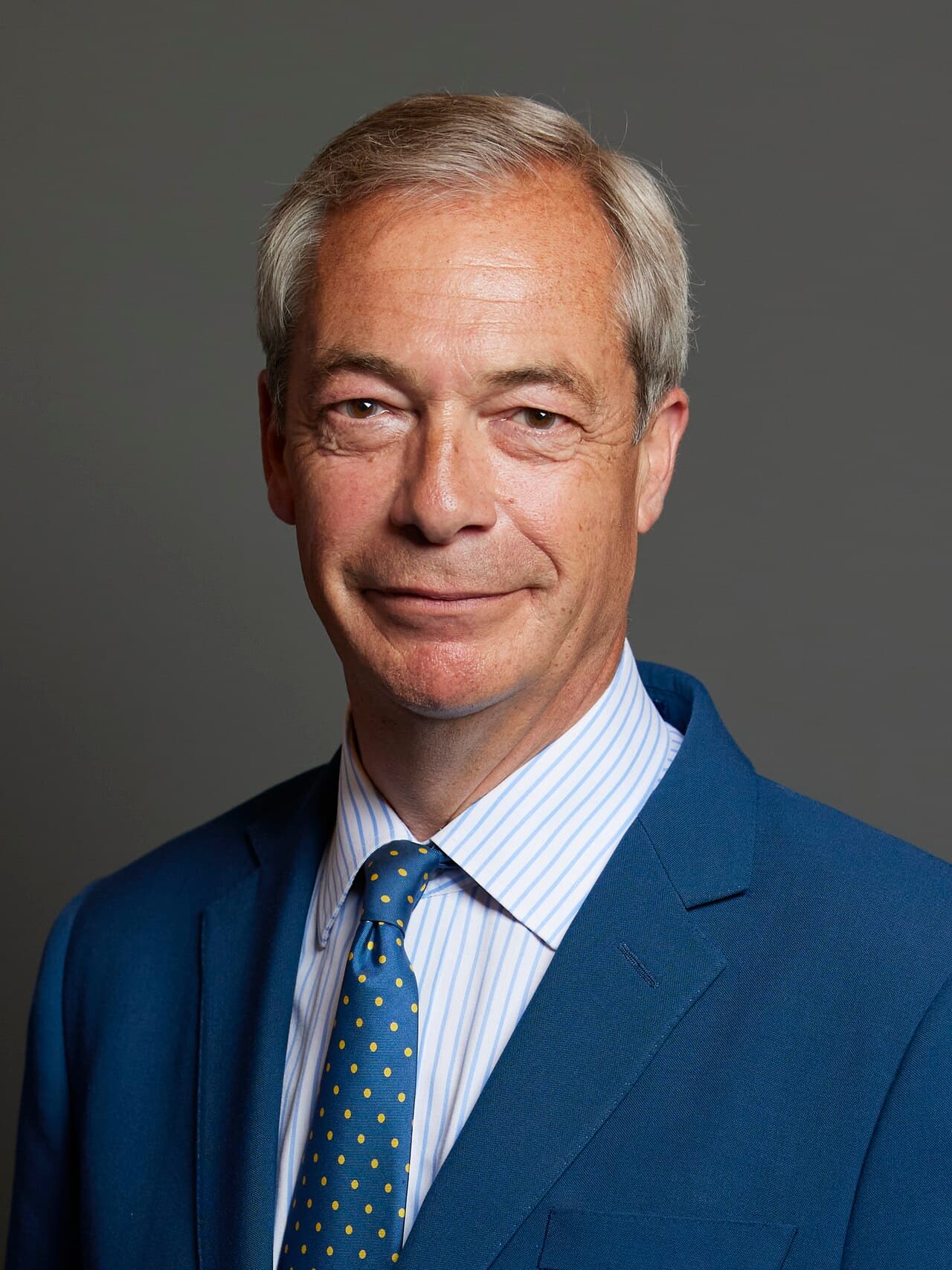 Official portrait of Nigel Farage MP