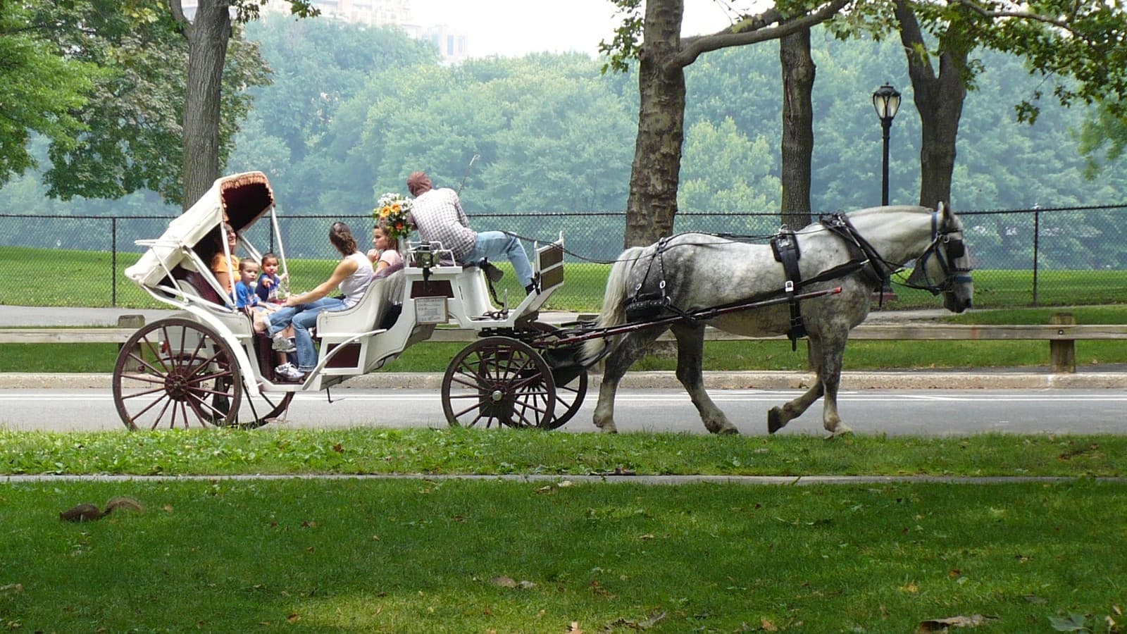 A horse pulls a carriage with passengers along a road in Central Park.