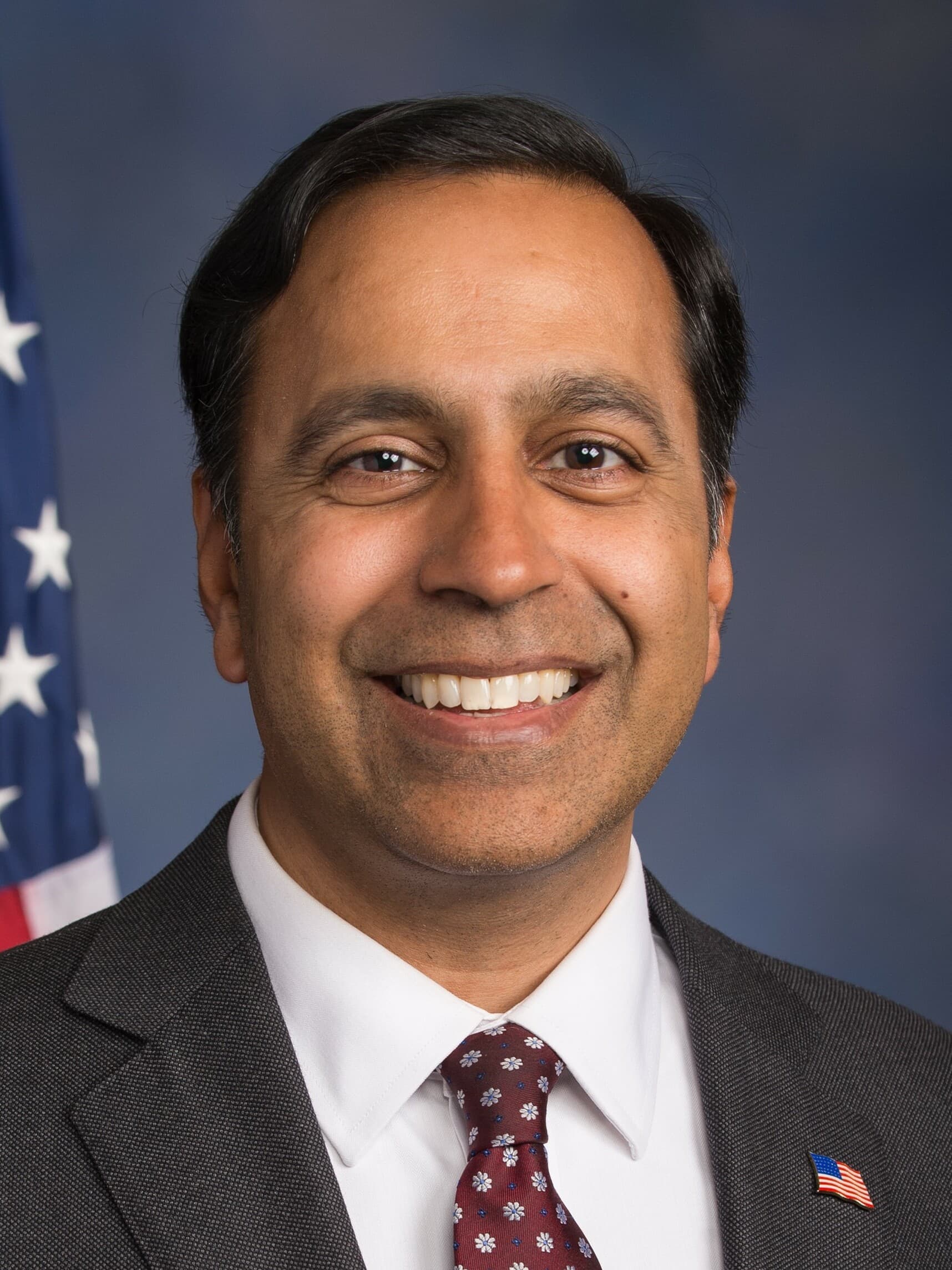 Raja Krishnamoorthi official congressional portrait
