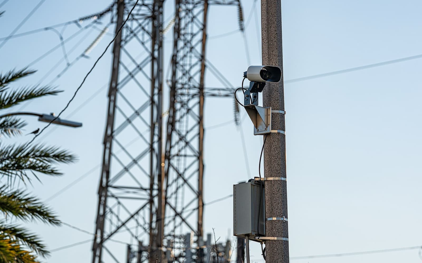 A white New Orleans Police license-plate reader camera mounted high on a concrete pole above a gray equipment box, with power-line towers and palm fronds behind it.